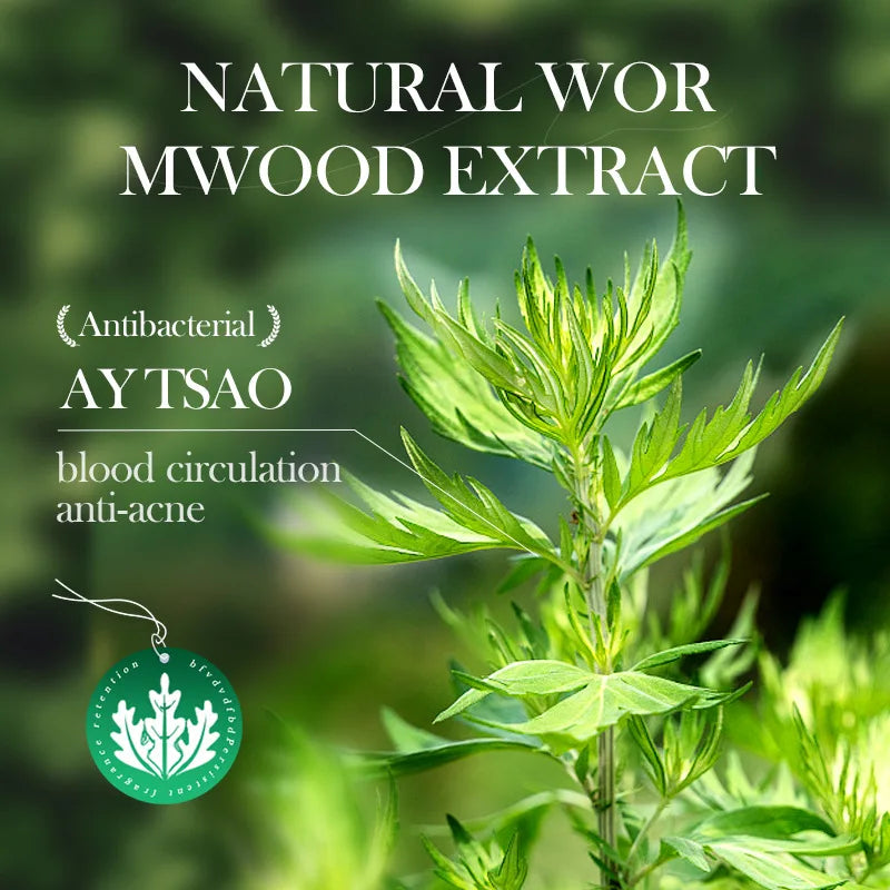 SADOER Mugwort Solid Facial Mask Stick Clay Mud Masks Pore Cleaning Remove Blackhead Moisturizing Face Mask Skin Care